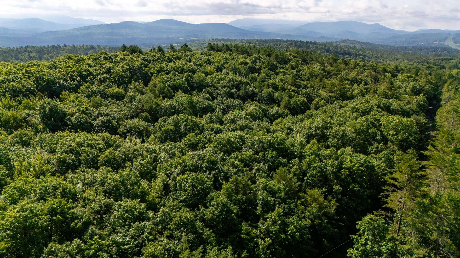 38 F Lang Road Bath NH 03740