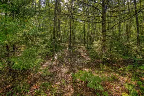 38 F Lang Road Bath NH 03740