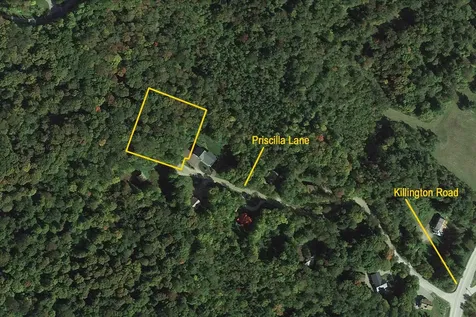 22-145 Priscilla Lane Killington VT 05751