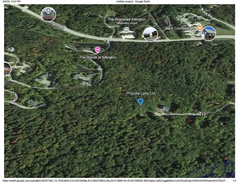 22-145 Priscilla Lane Killington VT 05751