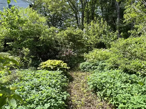 239 Blakes Hill Road Northwood NH 03261