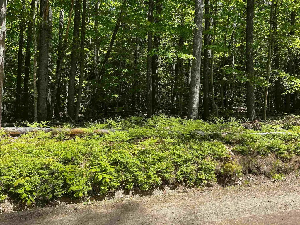 -- Freedom Point Road Freedom NH 03836