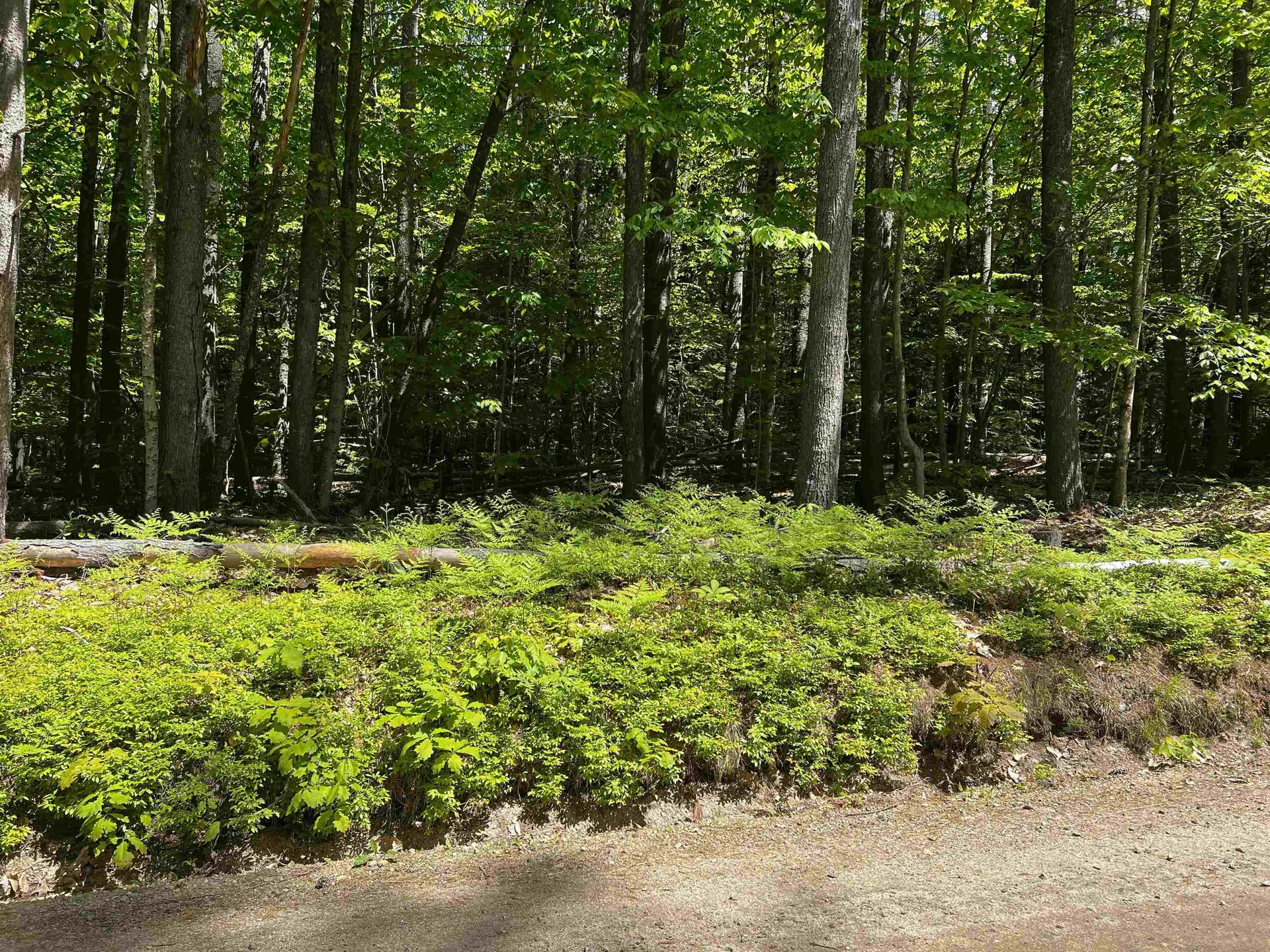 -- Freedom Point Road Freedom NH 03836