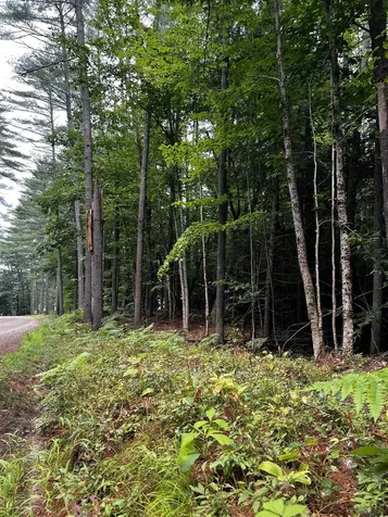-- Freedom Point Road Freedom NH 03836
