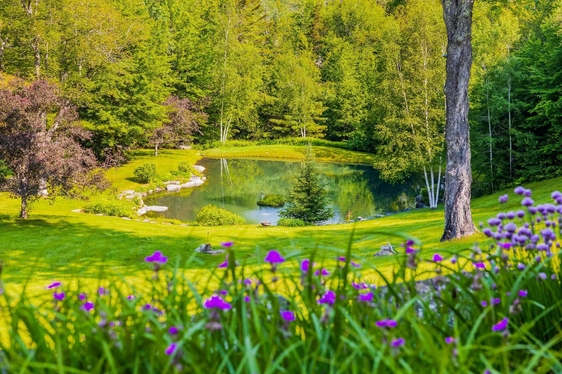 207 Boynton Road Londonderry VT 05148