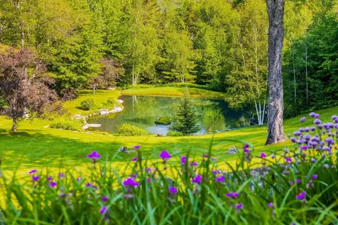 207 Boynton Road Londonderry VT 05148