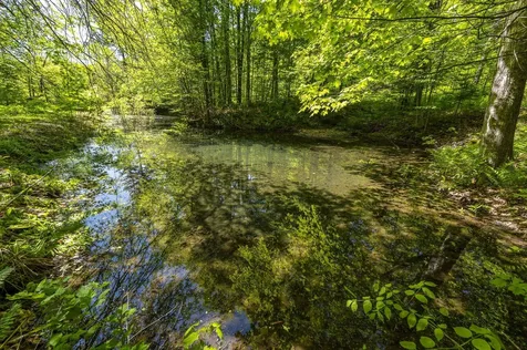 590 Blodgett Road Cabot VT 05647