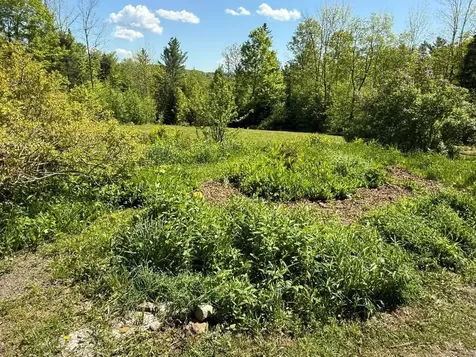 590 Blodgett Road Cabot VT 05647