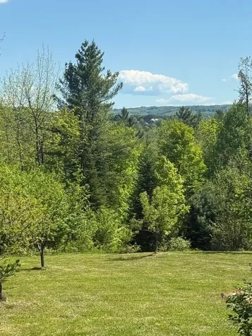 590 Blodgett Road Cabot VT 05647
