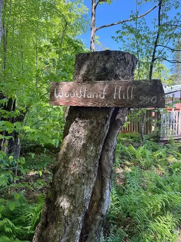 590 Blodgett Road Cabot VT 05647