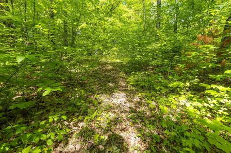 590 Blodgett Road Cabot VT 05647