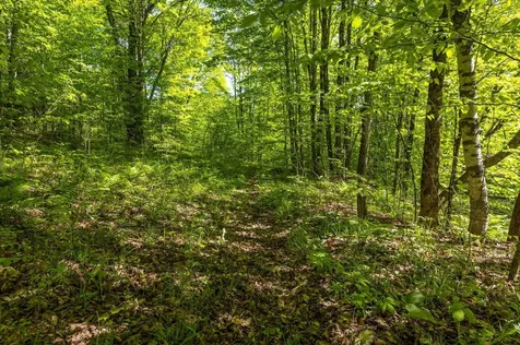 590 Blodgett Road Cabot VT 05647