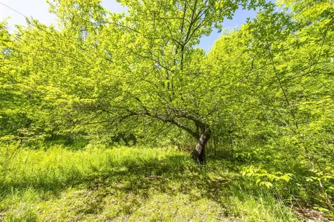 590 Blodgett Road Cabot VT 05647