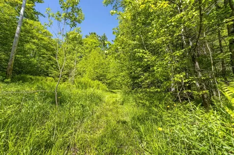 590 Blodgett Road Cabot VT 05647