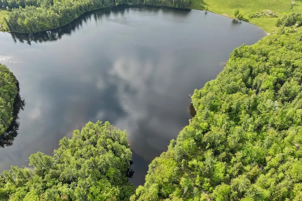 56 66 Sherwood Forest Drive Gilford NH 03249