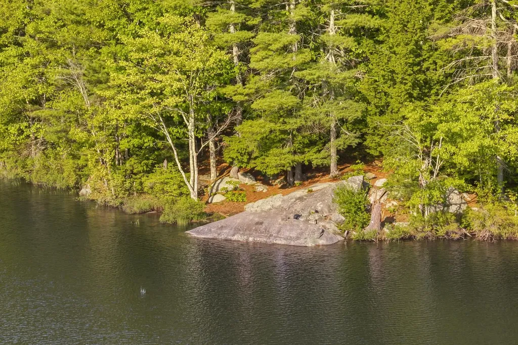 56 66 Sherwood Forest Drive Gilford NH 03249