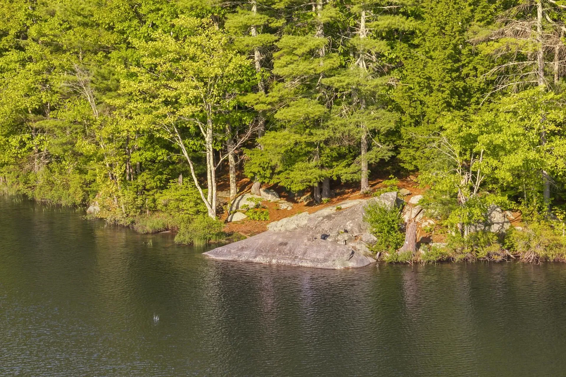 56 66 Sherwood Forest Drive Gilford NH 03249