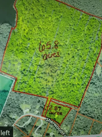 56 66 Sherwood Forest Drive Gilford NH 03249