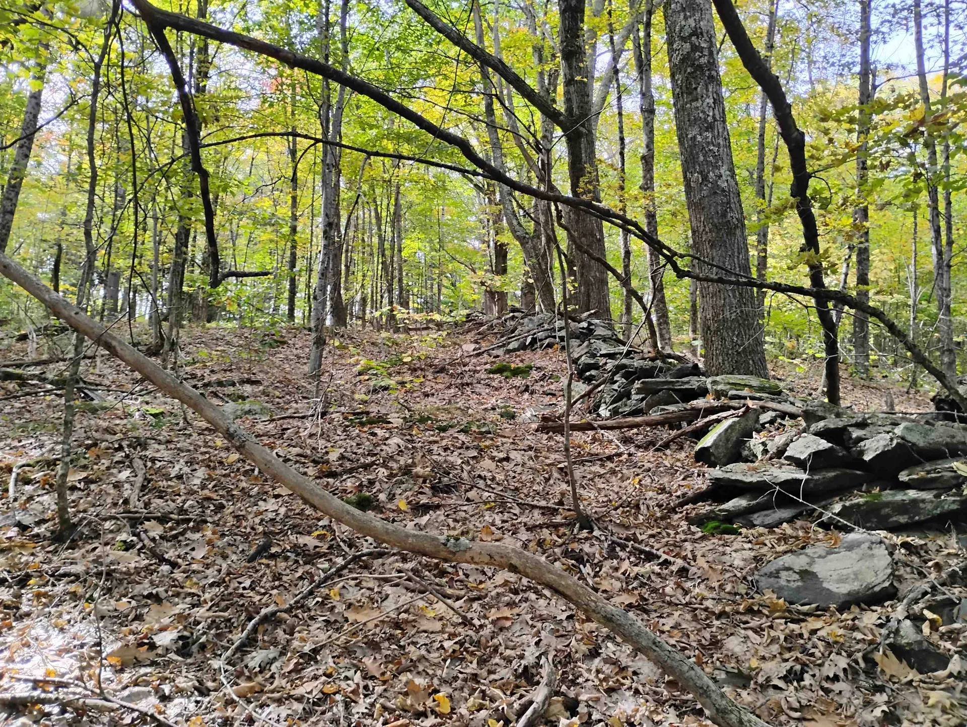 0 Banning Road Putney VT 05346