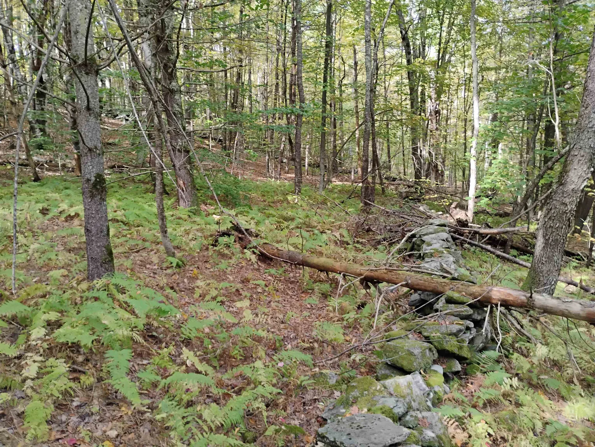 0 Banning Road Putney VT 05346