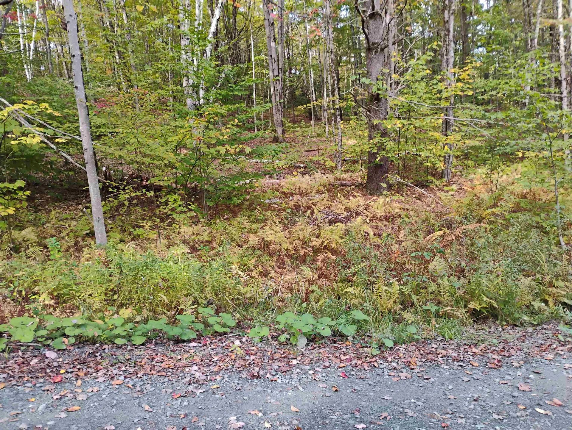 0 Banning Road Putney VT 05346