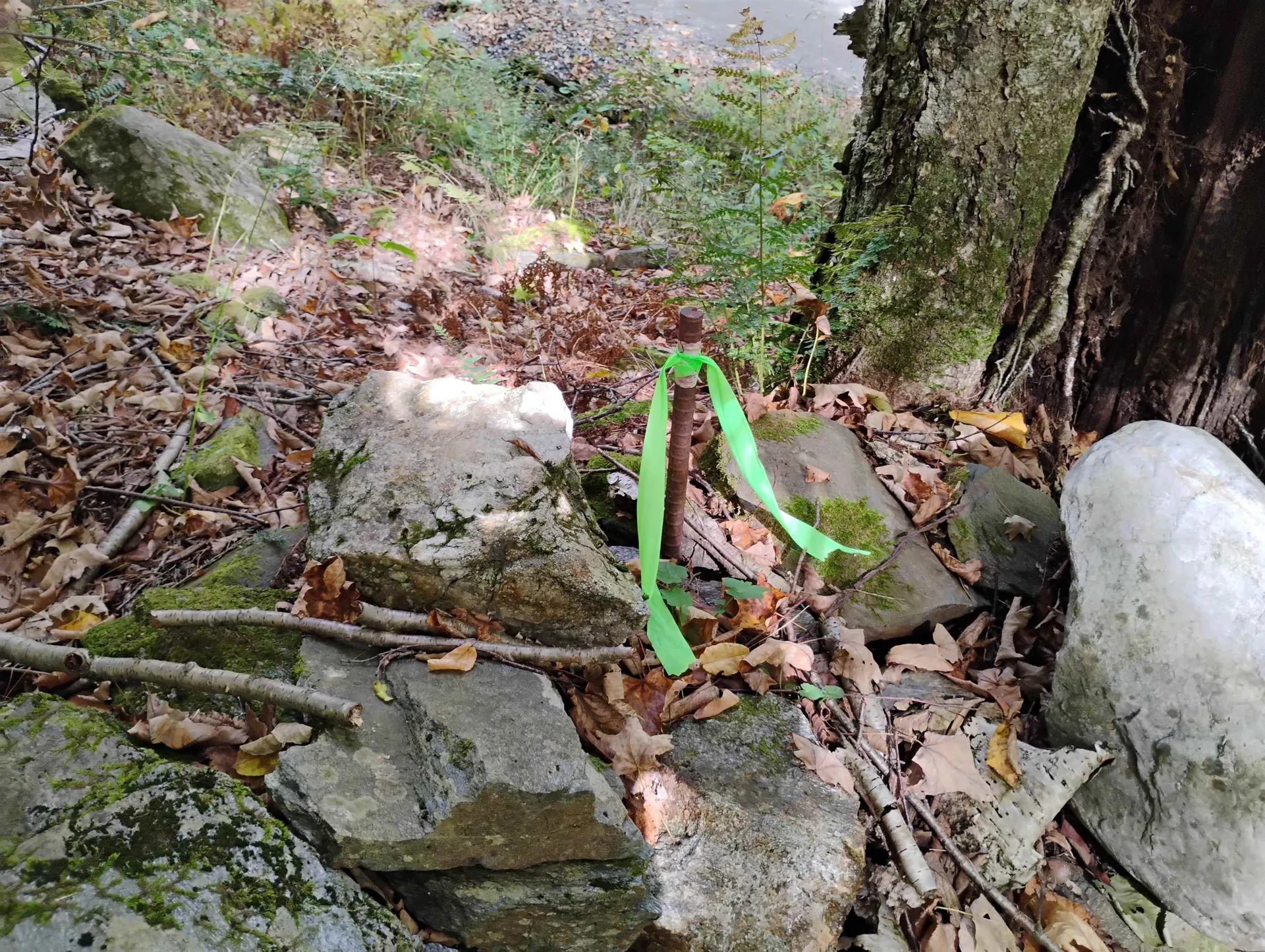 0 Banning Road Putney VT 05346