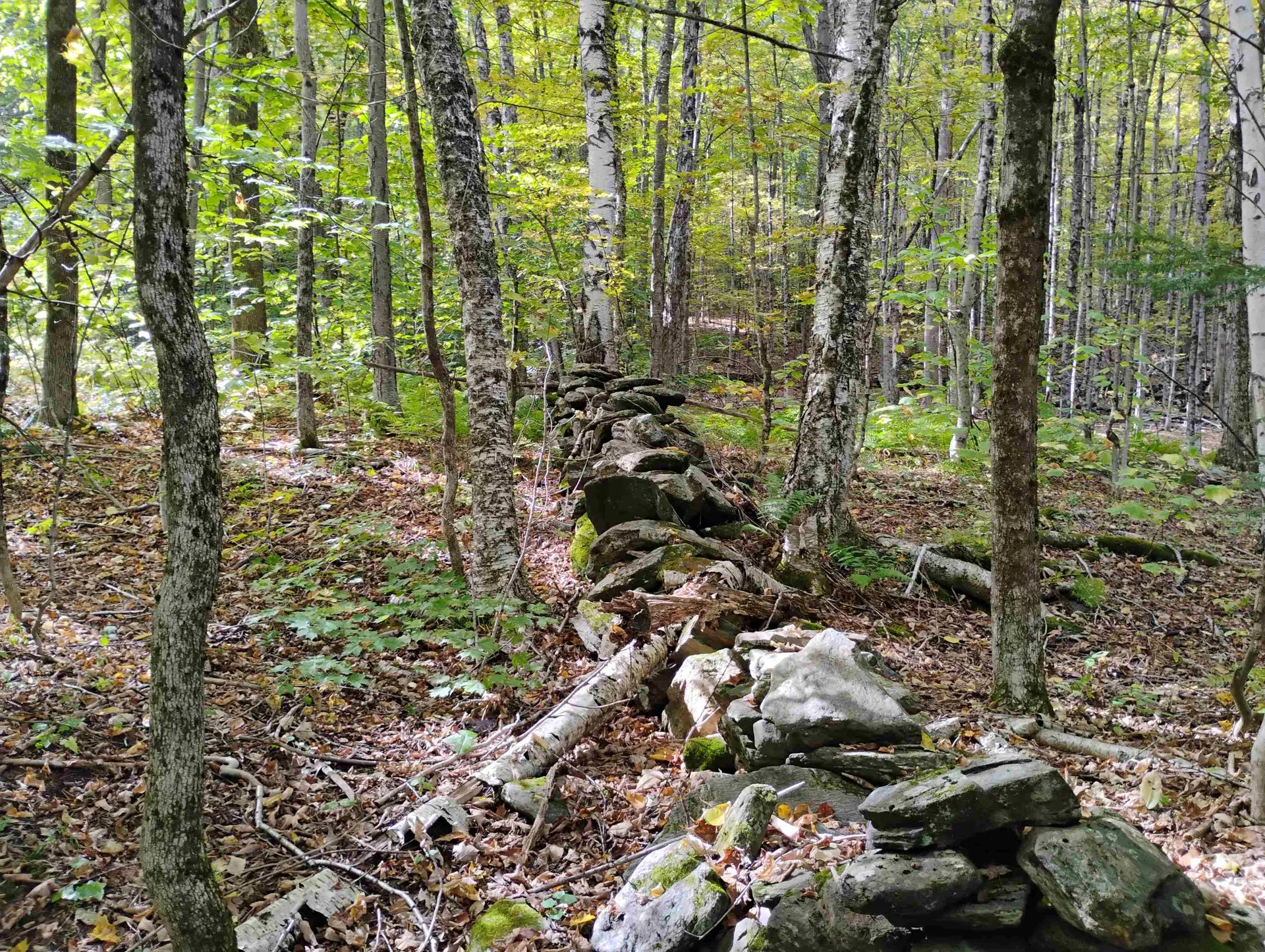 0 Banning Road Putney VT 05346