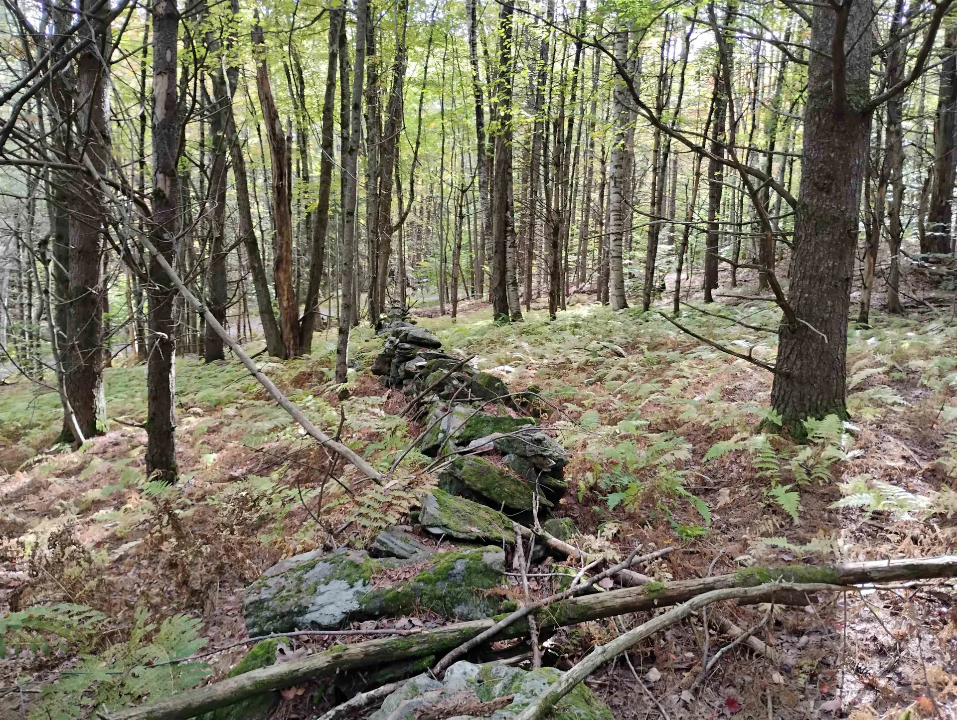 0 Banning Road Putney VT 05346