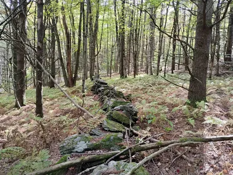 0 Banning Road Putney VT 05346
