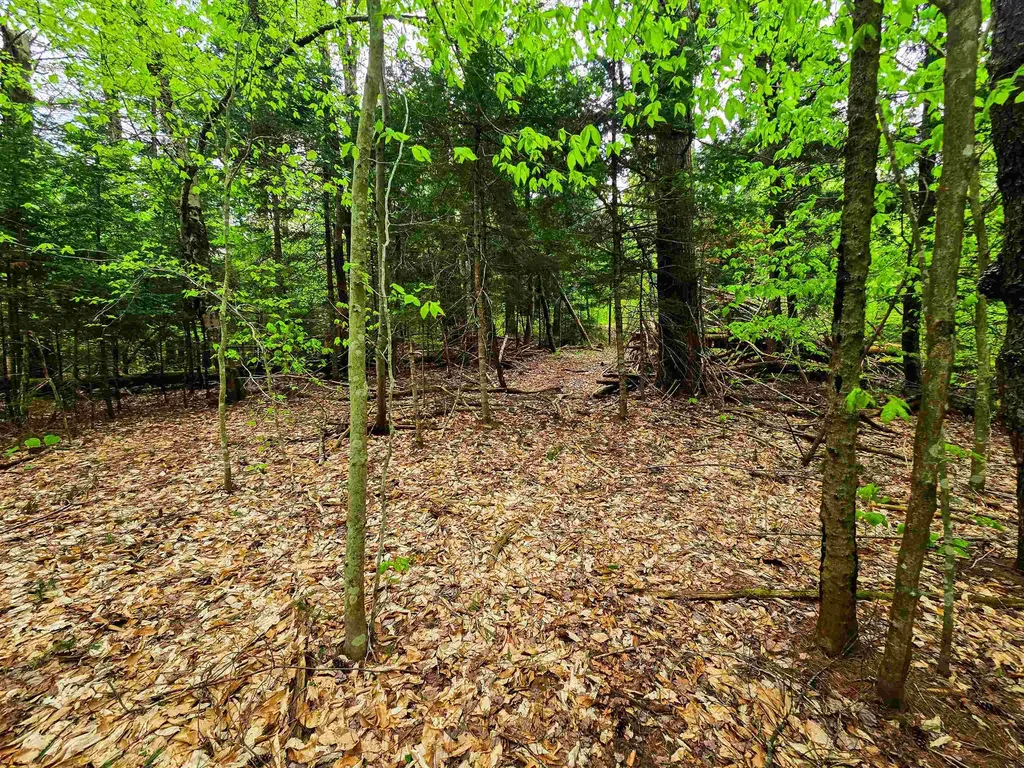 120 Harley Road Stamford VT 05352