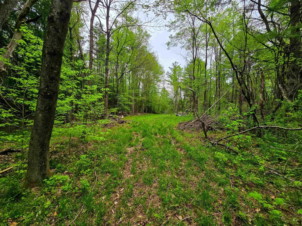 120 Harley Road Stamford VT 05352