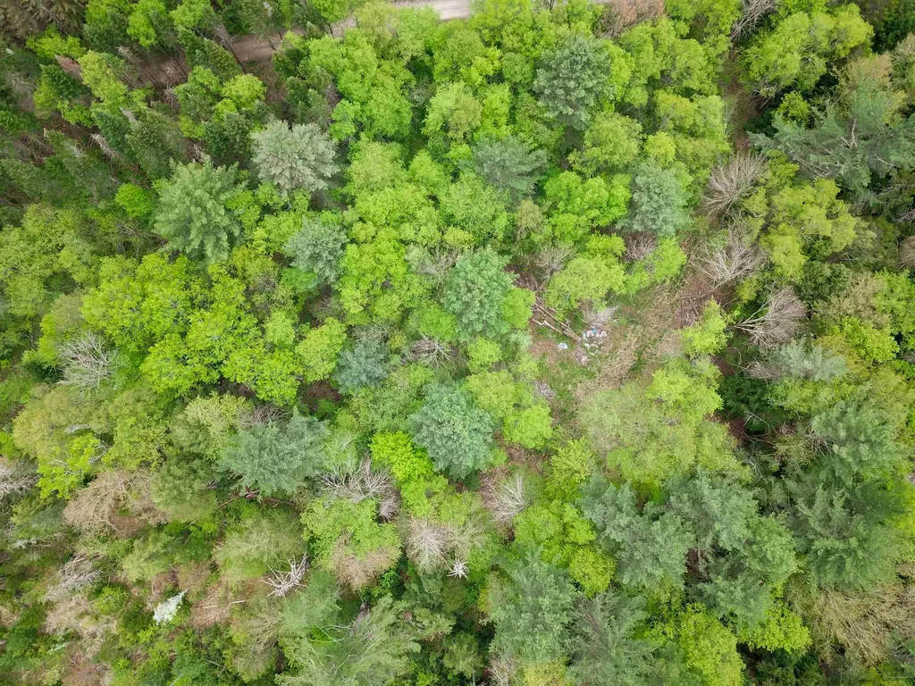 120 Harley Road Stamford VT 05352