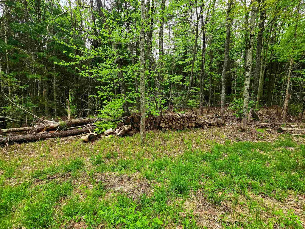 120 Harley Road Stamford VT 05352