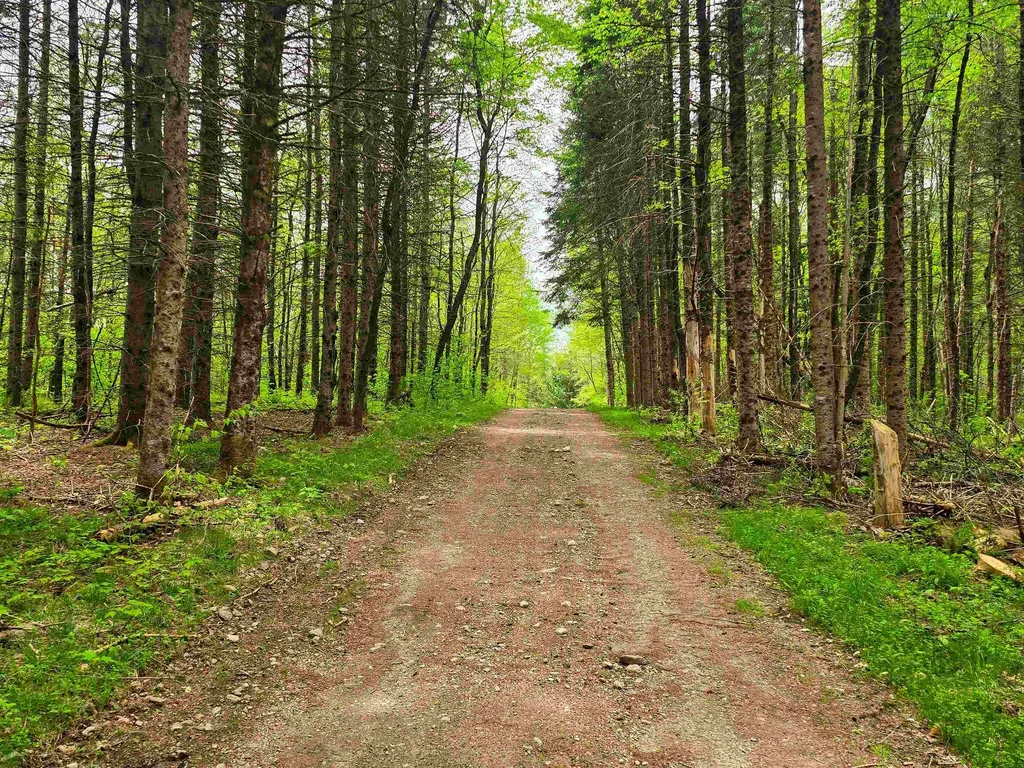 120 Harley Road Stamford VT 05352