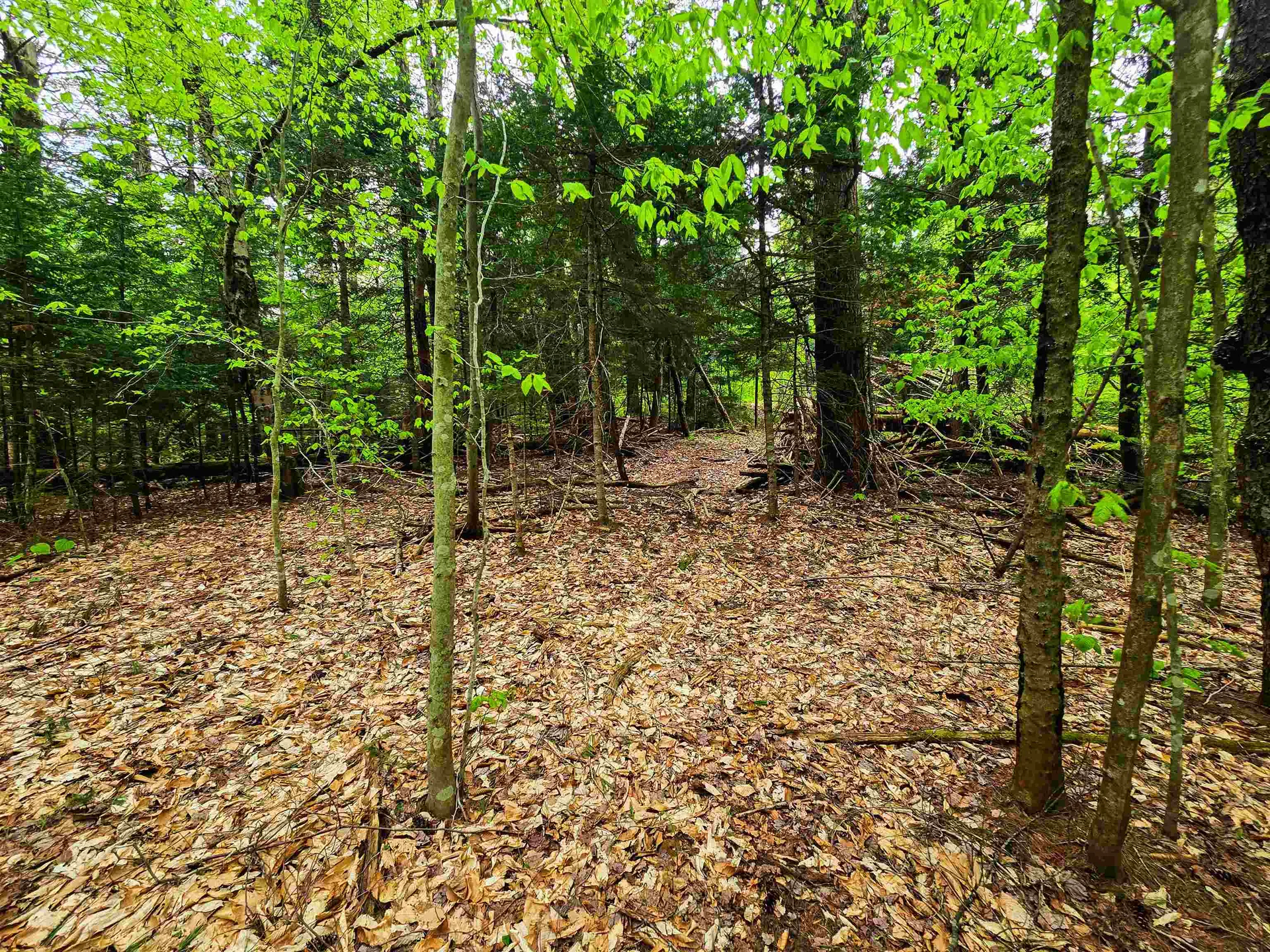 120 Harley Road Stamford VT 05352