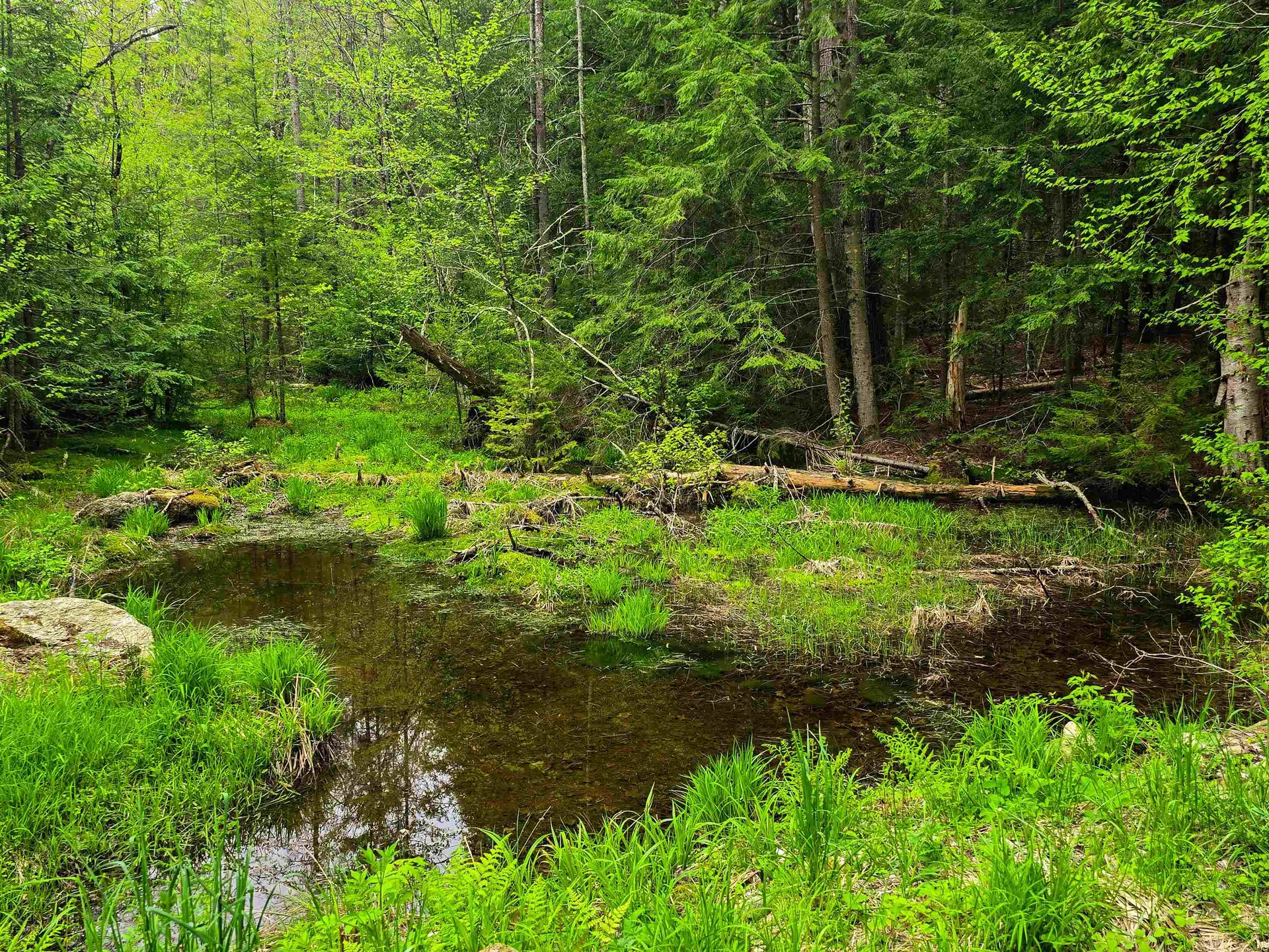 120 Harley Road Stamford VT 05352