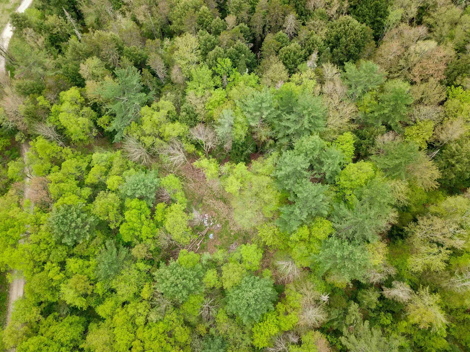 120 Harley Road Stamford VT 05352