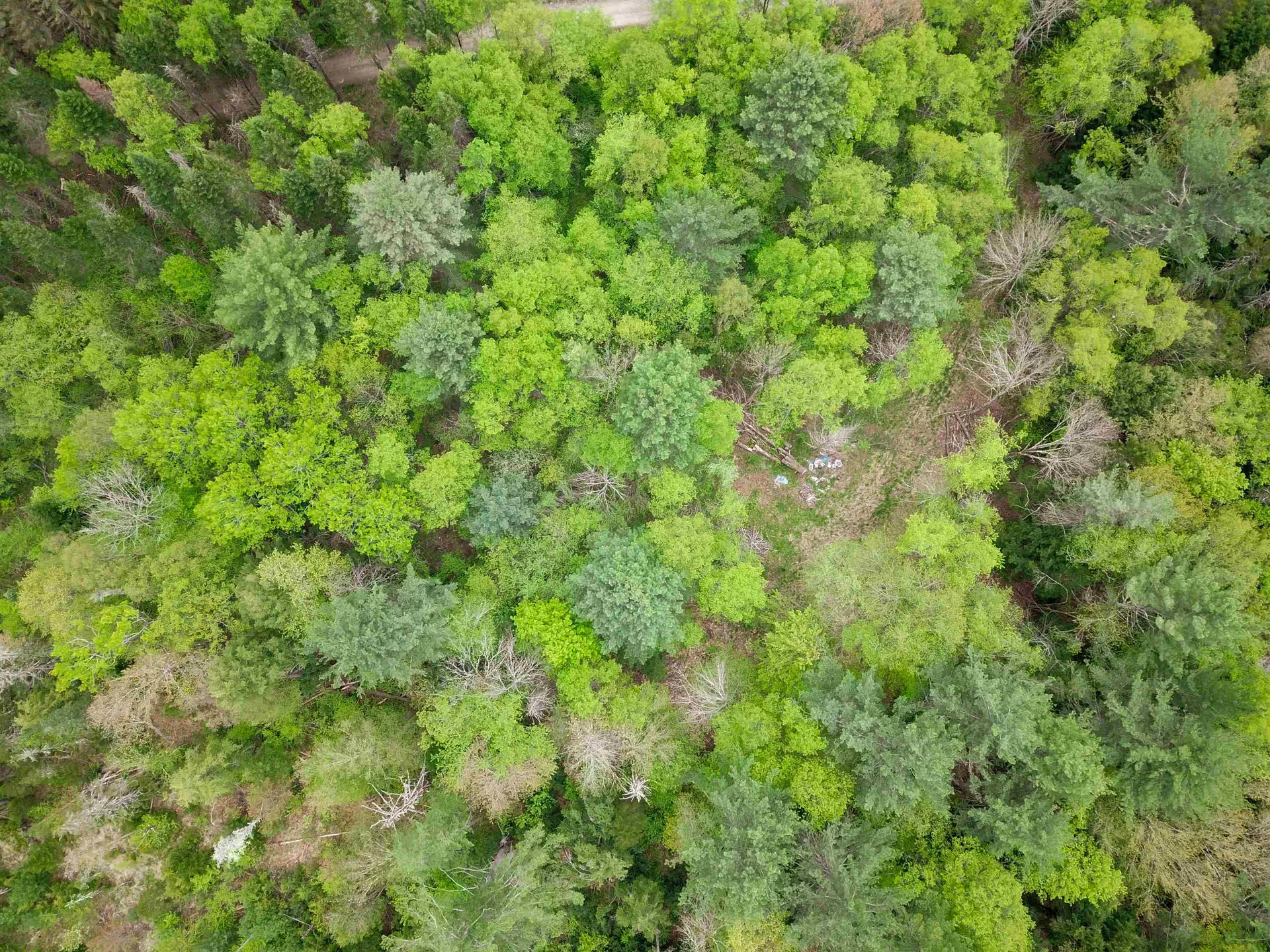 120 Harley Road Stamford VT 05352