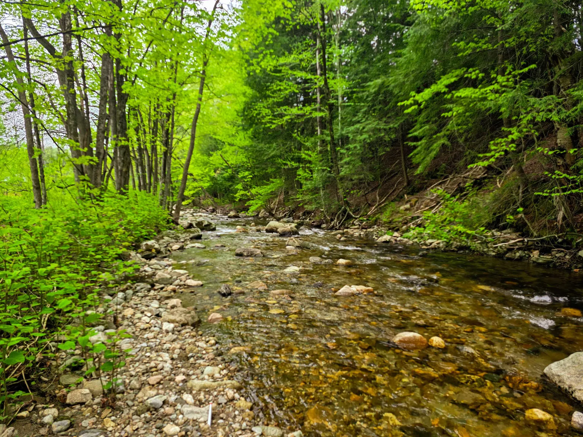 120 Harley Road Stamford VT 05352