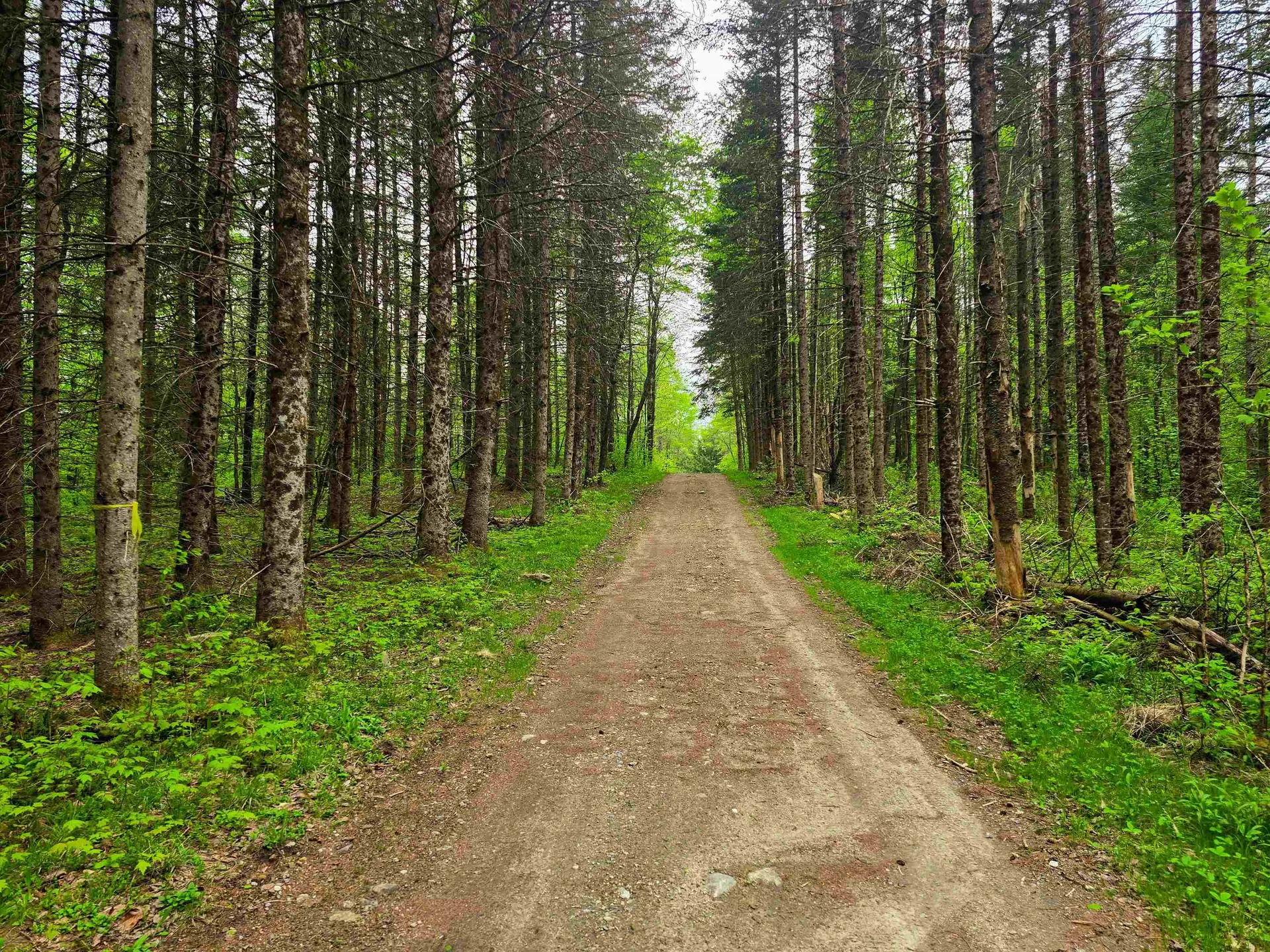 120 Harley Road Stamford VT 05352