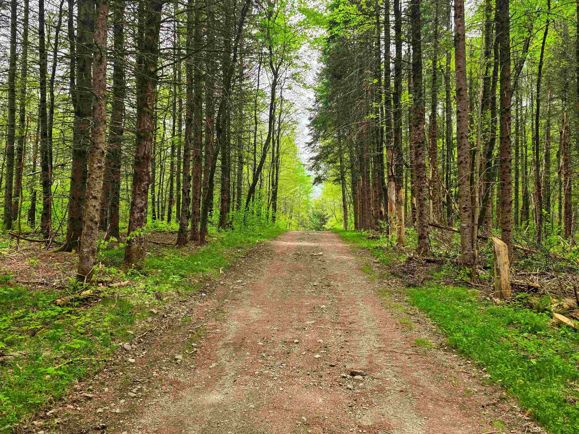 120 Harley Road Stamford VT 05352