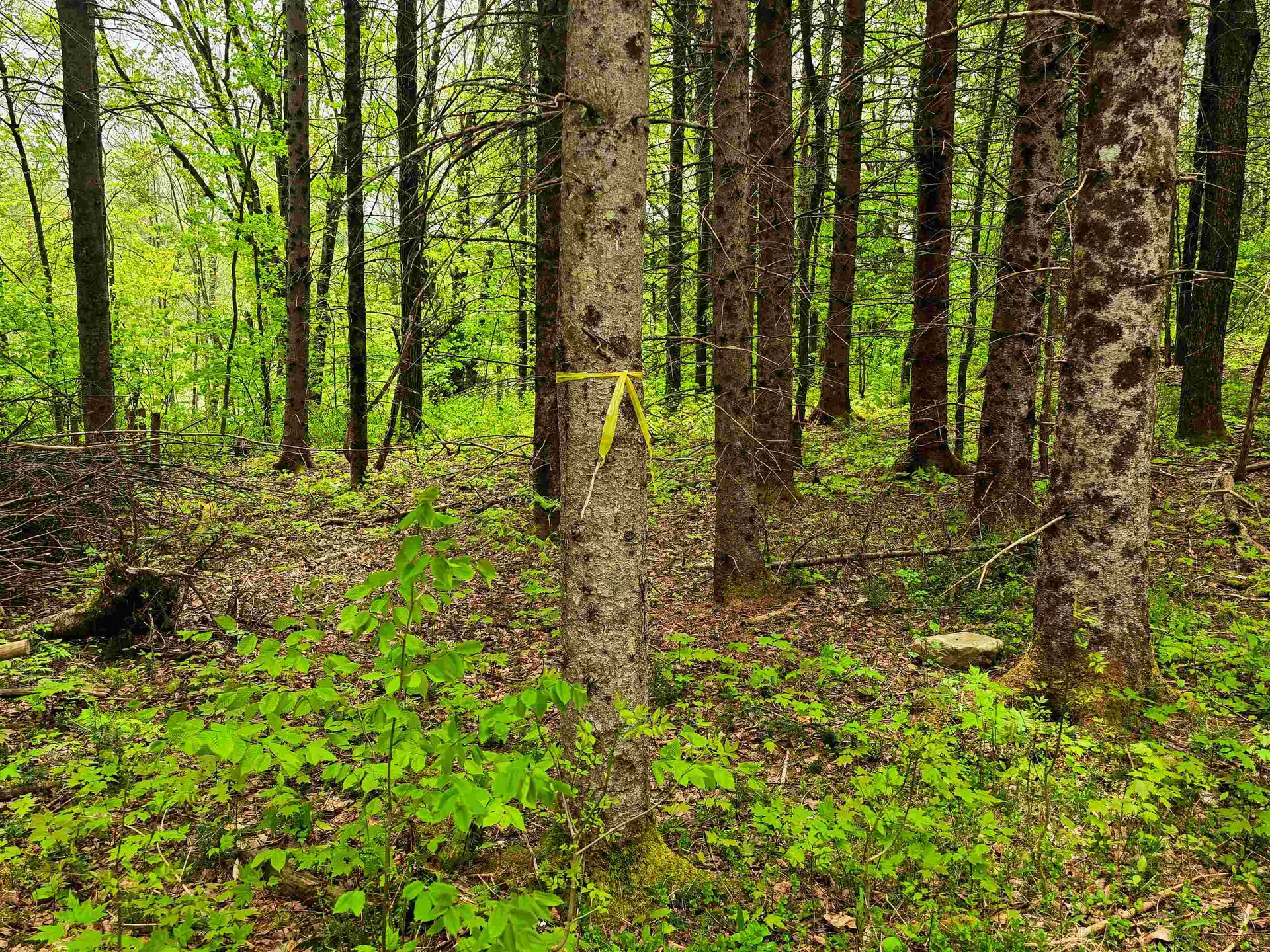 120 Harley Road Stamford VT 05352