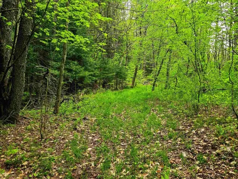 120 Harley Road Stamford VT 05352