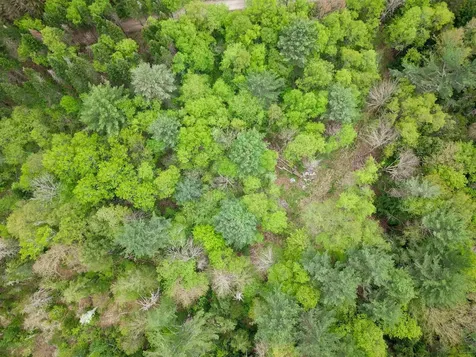 120 Harley Road Stamford VT 05352