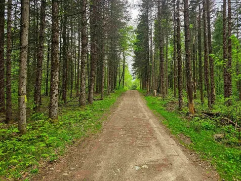 120 Harley Road Stamford VT 05352