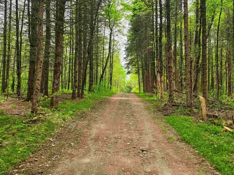 120 Harley Road Stamford VT 05352