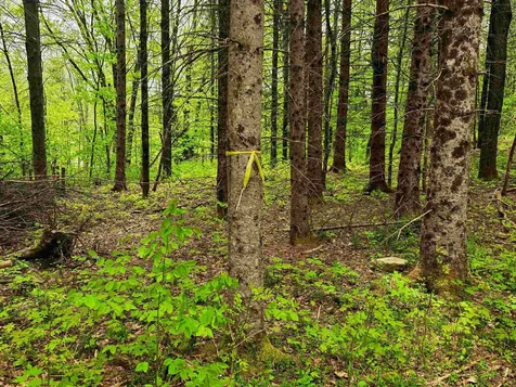 120 Harley Road Stamford VT 05352