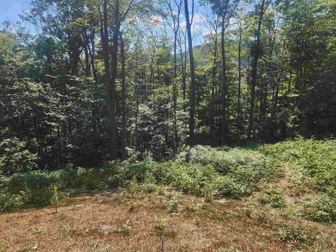 00 Jericho Road Bartlett NH 03812