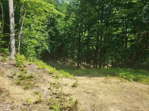 00 Jericho Road Bartlett NH 03812