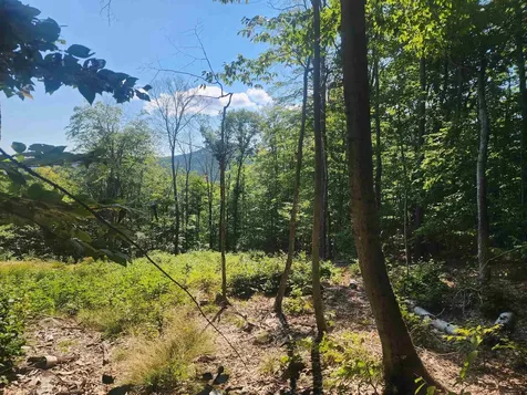 00 Jericho Road Bartlett NH 03812